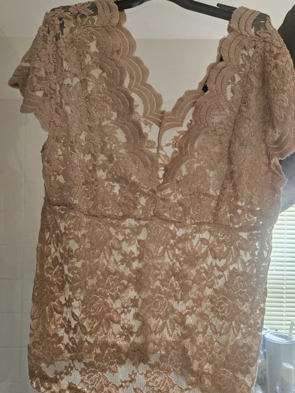 Ambiance Blush Taupe Lace V-Neck Blouse